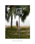 beware of falling coconuts by 82deg