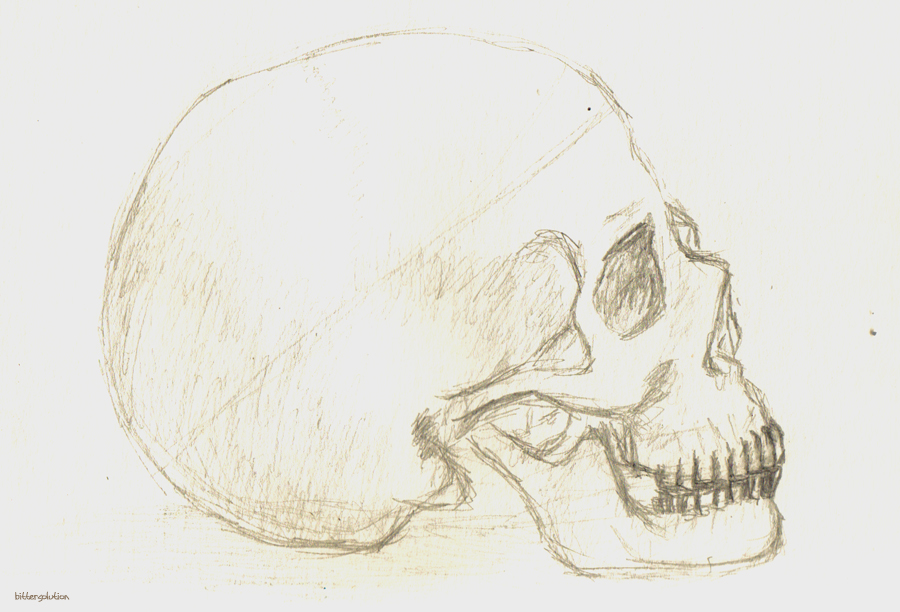 skull