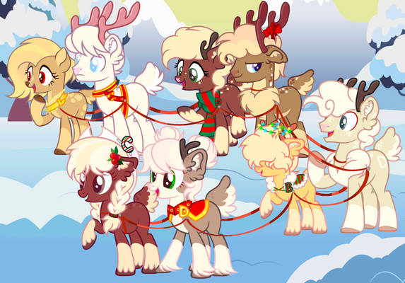 The Team of SANDY CLAWS