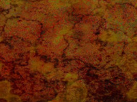 Texture 3