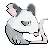 Possum Icon