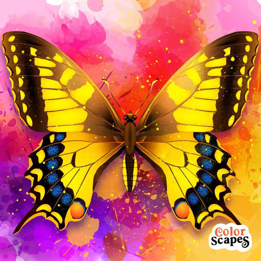 Deviantart Compostfly Butterfly by Captainsgirl26 on DeviantArt