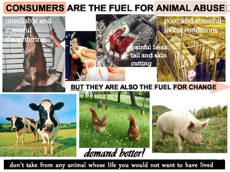 Consumers Fuel Animal Abuse