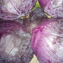 Red Cabbage