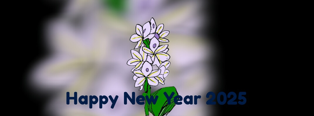 Happy New Year 2025