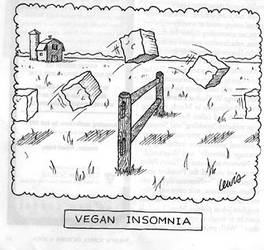 Vegan Insomnia