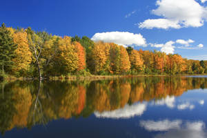 St. Albans Reservoir Foliage