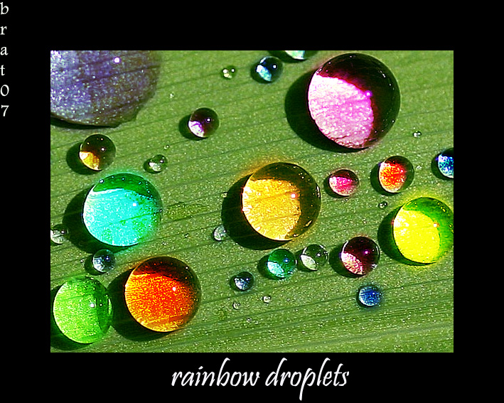 rainbow droplets