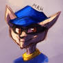 Sly Cooper Headshot