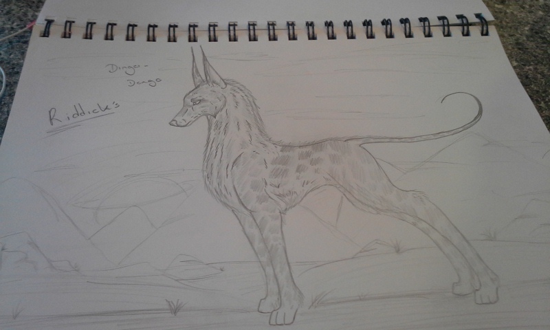 Dingo dongo by snowwolves100 on DeviantArt