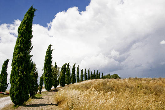 Tuscany in June 2012