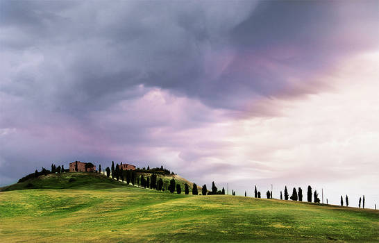 Tuscany in June 2012