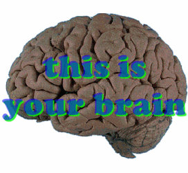 Your Brain on IH