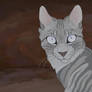 Jayfeather