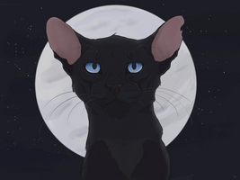 Crowfeather