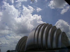 The Kauffman