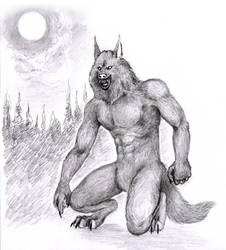 Werewolf - traditional