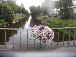 That one shot, (21-07-2023 1)