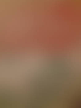 During the correction