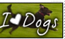Dog-Lover