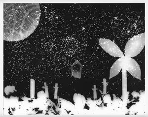 Ritual Photogram