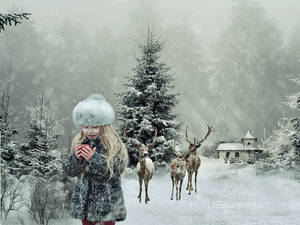 Christmas by DeniseWorisch Christmas by DeniseWorisch