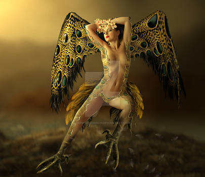 Golden Bird Woman by DeniseWorisch