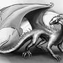 Black and White Dragon