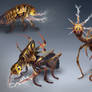 Thunder Bug Life Cycle