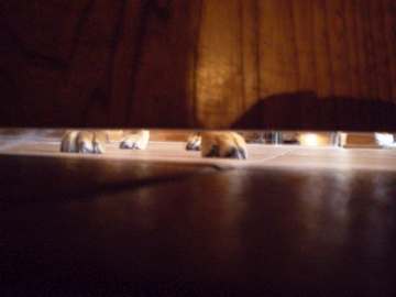 from under the door