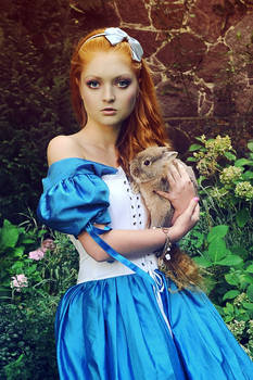 Alice with the rabbit