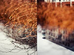 Spring Rain Diptych by timeisatraveller