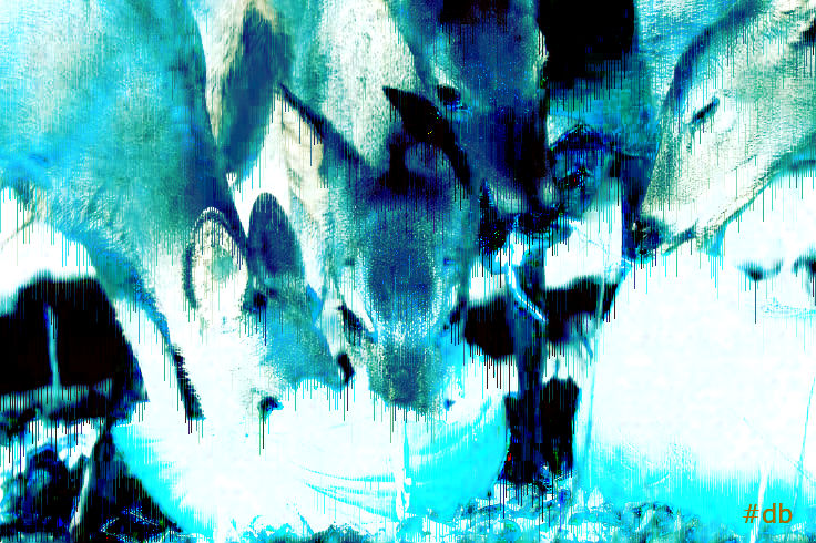 Feast of Inverted Souls by DeeBellwether on DeviantArt
