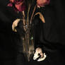 Dead roses