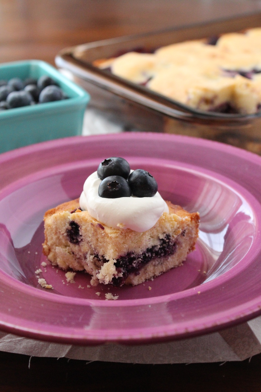 Blueberry Squares