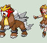 Entei go RAWR