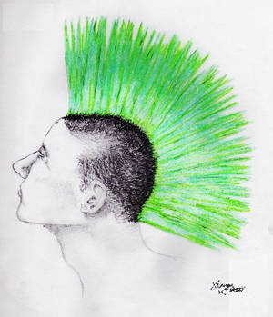 Why do punks have green hair?