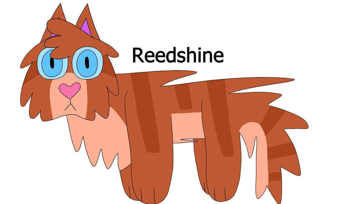 Deviantart Reedster Reedshine by AndieZersteorerin on DeviantArt