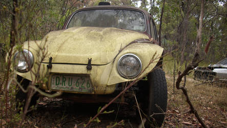 Car In the Bush