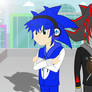 Sonic and Shadow in Equestria Girls