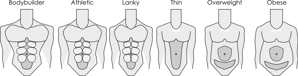 Lithe Man Body Type Male Body Types by avacancy on DeviantArt