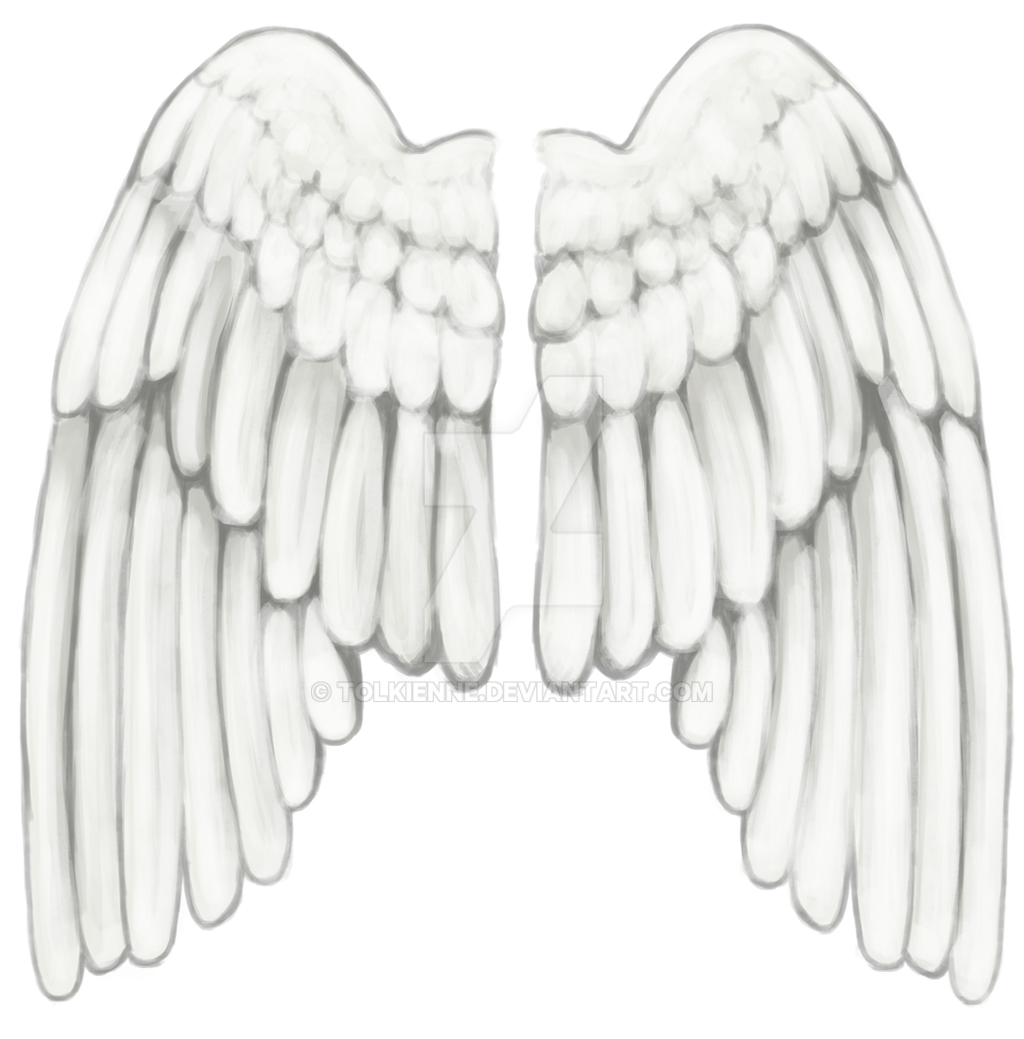 Folded Wings by tolkienne on DeviantArt Folded Wings by tolkienne on DeviantArt