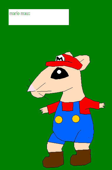 Musou Mario mario maousen by MISAKIYLOVEYOU on DeviantArt