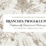 29 Branches, Twigs,   Leaves No.2