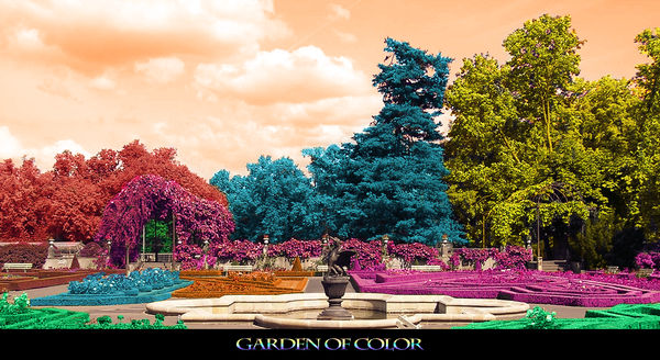 Garden of Color