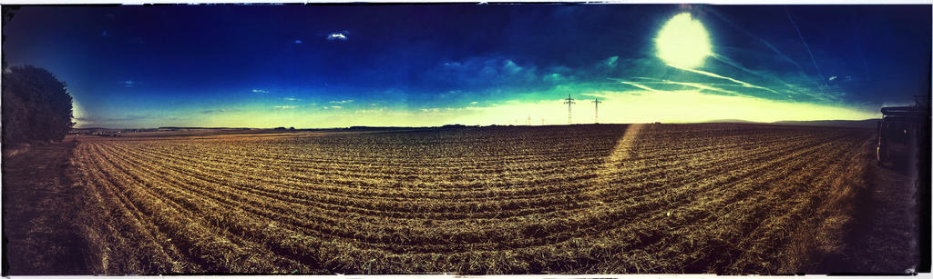 Open Field by NoctiferDesigns on DeviantArt