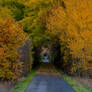 Golden tunnel