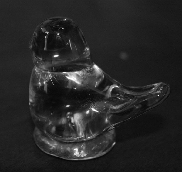 Glass Bird