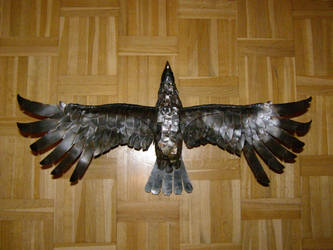 eagle