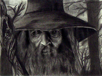 Gandalf the gray!!